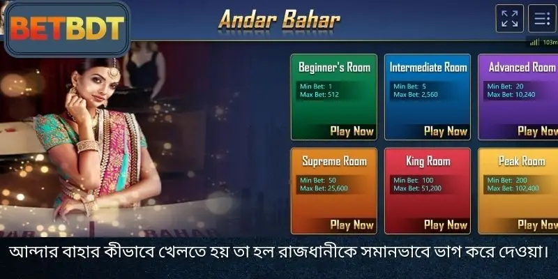 বাজির ইতিহাস দেখুন, বাজেট নিয়ন্ত্রণ করুন