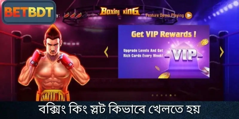 বক্সিং কিং স্লট কিভাবে খেলতে হয়