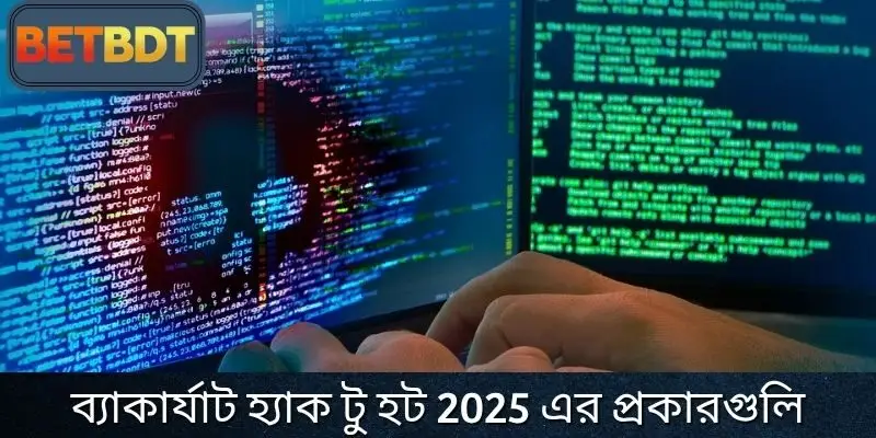 ২০২৫ সালের সেরা ৩টি জনপ্রিয় Baccarat হ্যাক সরঞ্জাম