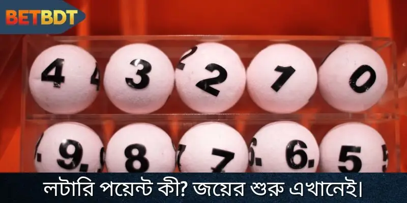 লট পয়েন্ট কী তার সংক্ষিপ্তসার