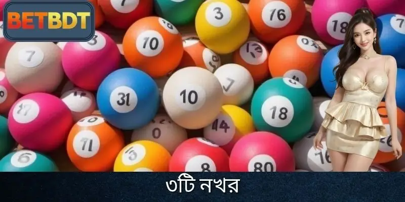 ৩টি নখর